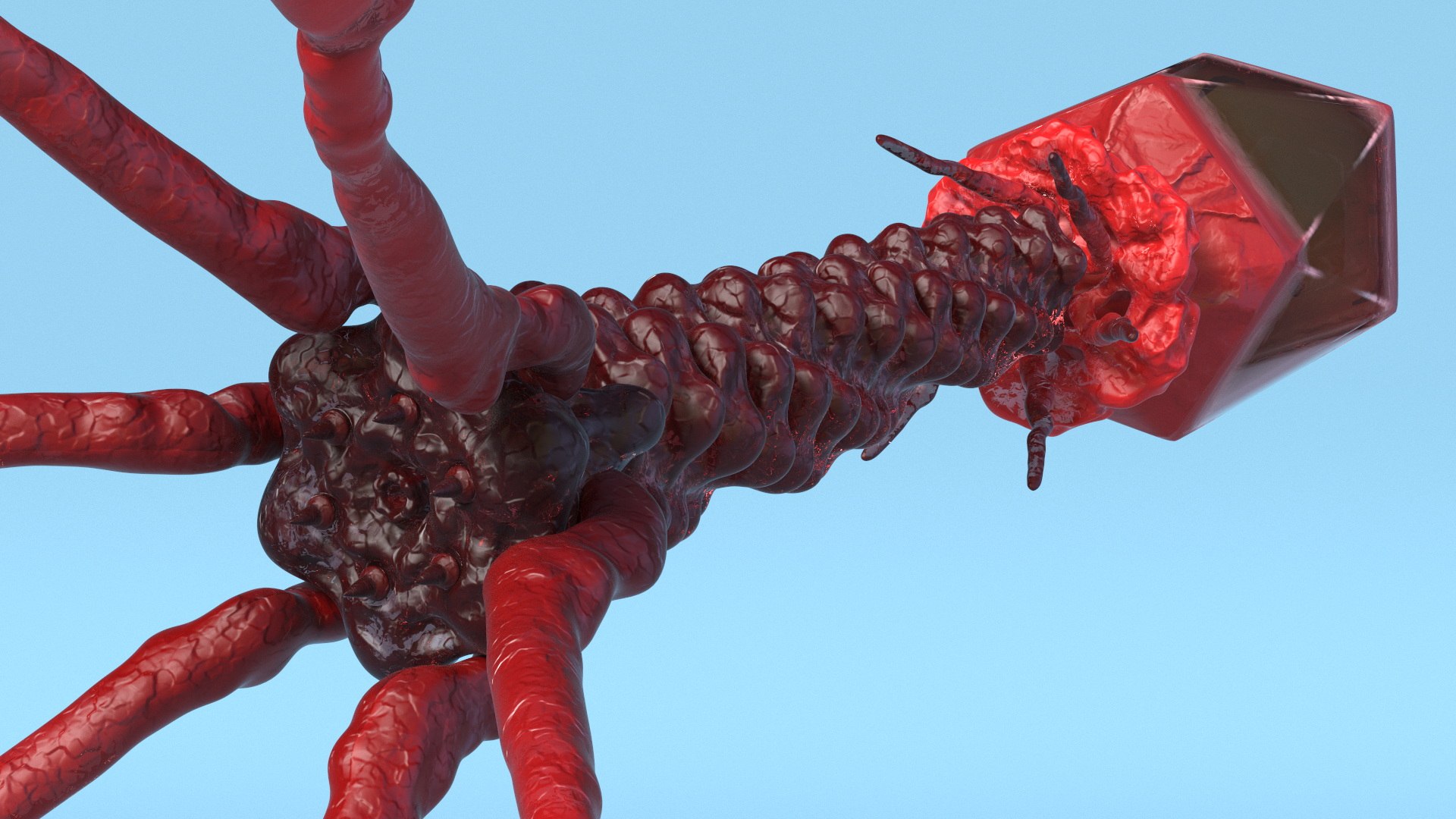 3D Bacteriophage Rigged https://p.turbosquid.com/ts-thumb/d0/PJlWcn/7J/bacteriophage_rigged_007/jpg/1748552171/1920x1080/fit_q87/3797f28e2fd18847fe89c1ce3e619b025826761c/bacteriophage_rigged_007.jpg