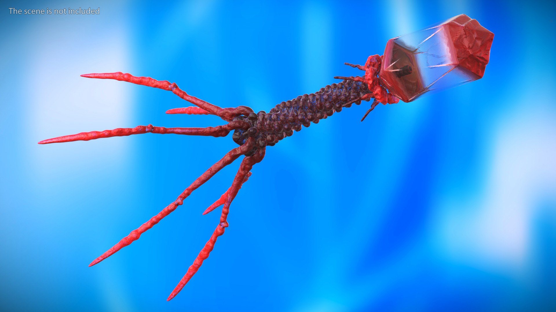 3D Bacteriophage Rigged https://p.turbosquid.com/ts-thumb/d0/PJlWcn/9Z/bacteriophage_rigged_002/jpg/1748551923/1920x1080/fit_q87/333391aa843c3a516158254f56ef3d8973c7cb85/bacteriophage_rigged_002.jpg