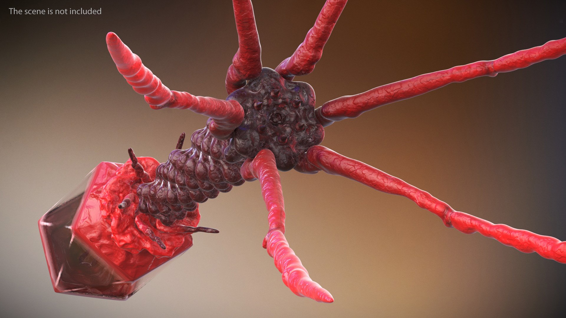 3D Bacteriophage Rigged https://p.turbosquid.com/ts-thumb/d0/PJlWcn/IR/bacteriophage_rigged_006/jpg/1748552167/1920x1080/fit_q87/fb9e6c943c8e9b1f9204259977a2039e800f2d6a/bacteriophage_rigged_006.jpg