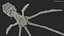 Bacteriophage Rigged