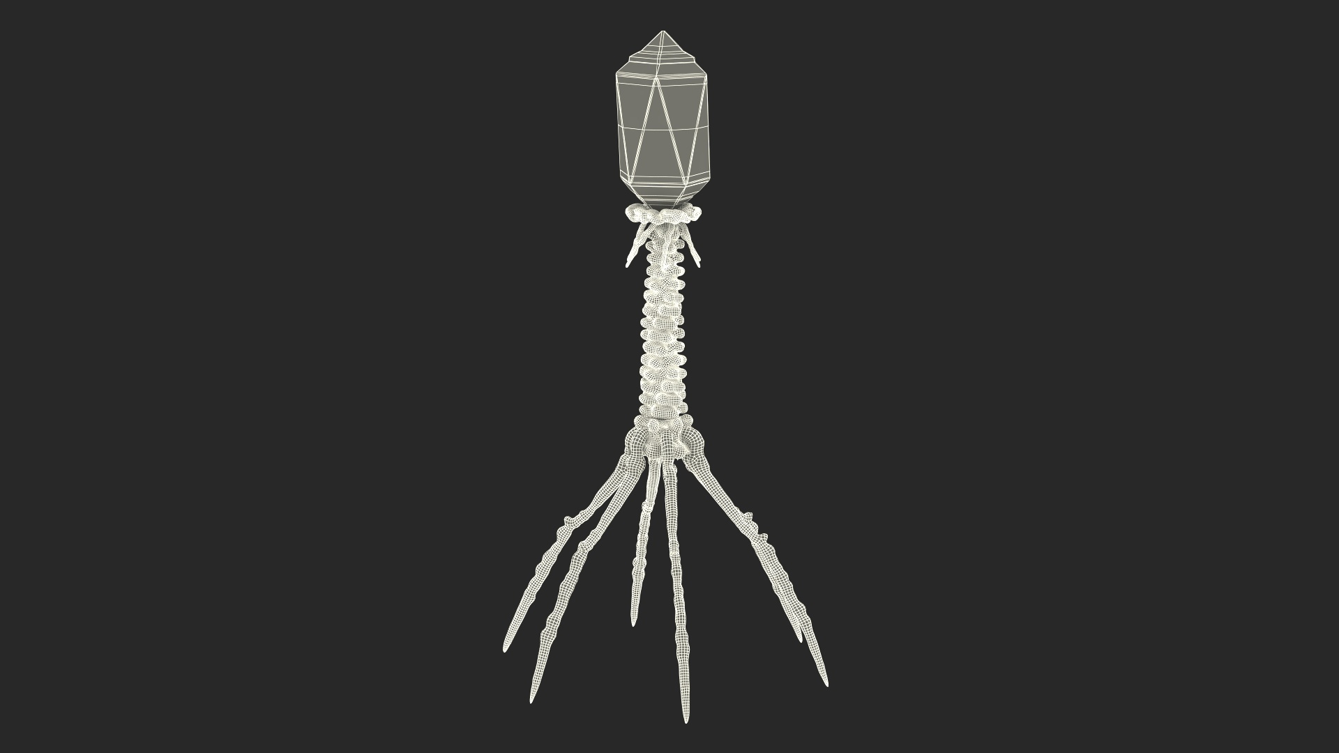 3D Bacteriophage Rigged https://p.turbosquid.com/ts-thumb/d0/PJlWcn/Uc/bacteriophage_rigged_361/jpg/1748552003/1920x1080/turn_fit_q99/8e5a8217c2f109a1a991e39f68112b31dd1aaab3/bacteriophage_rigged_361-1.jpg