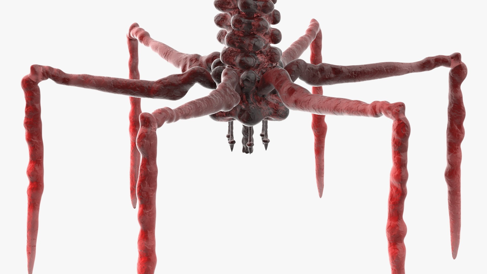 3D Bacteriophage Rigged https://p.turbosquid.com/ts-thumb/d0/PJlWcn/tE/bacteriophage_rigged_012/jpg/1748552192/1920x1080/fit_q87/f961e532af29f78843c4fb61c27ae72691be134e/bacteriophage_rigged_012.jpg