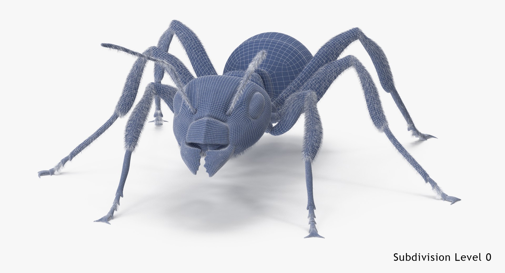 3d rigged ant - model https://p.turbosquid.com/ts-thumb/d0/QJ7nG1/8VfwYL15/ant_rigged_001_wireframe_subdiv0/jpg/1459891562/1920x1080/fit_q87/93e4f062064d8fcc869e2ede4dd8673272b3835d/ant_rigged_001_wireframe_subdiv0.jpg