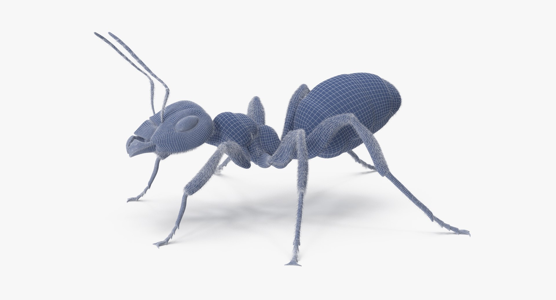 3d rigged ant - model https://p.turbosquid.com/ts-thumb/d0/QJ7nG1/EszpYWaF/ant_rigged_001_wireframe_0008/jpg/1459891562/1920x1080/fit_q87/9c548e93ce46db3a98096a672d300ded00f2fc45/ant_rigged_001_wireframe_0008.jpg