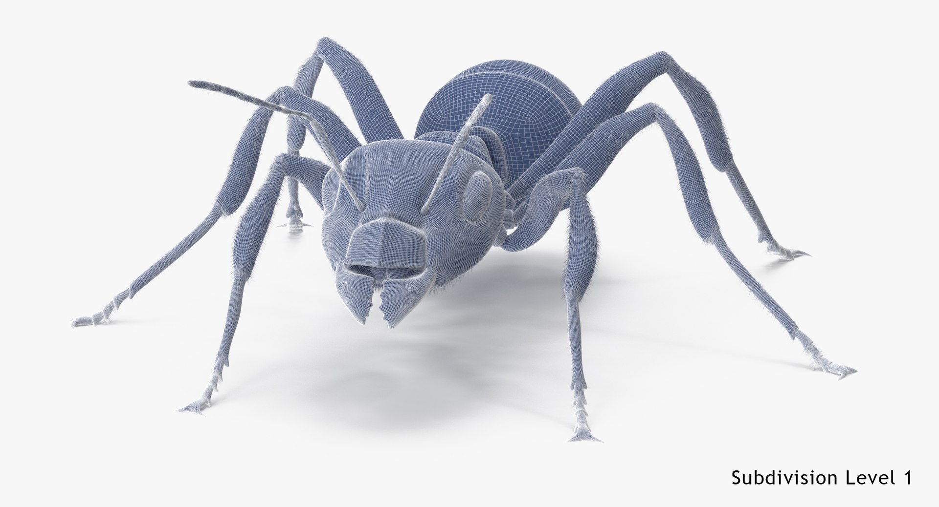 3d rigged ant - model https://p.turbosquid.com/ts-thumb/d0/QJ7nG1/FVjGLwWF/ant_rigged_001_wireframe_subdiv1/jpg/1459891562/1920x1080/fit_q87/31dc831a4658c6601cafdd754ba5403098706930/ant_rigged_001_wireframe_subdiv1.jpg