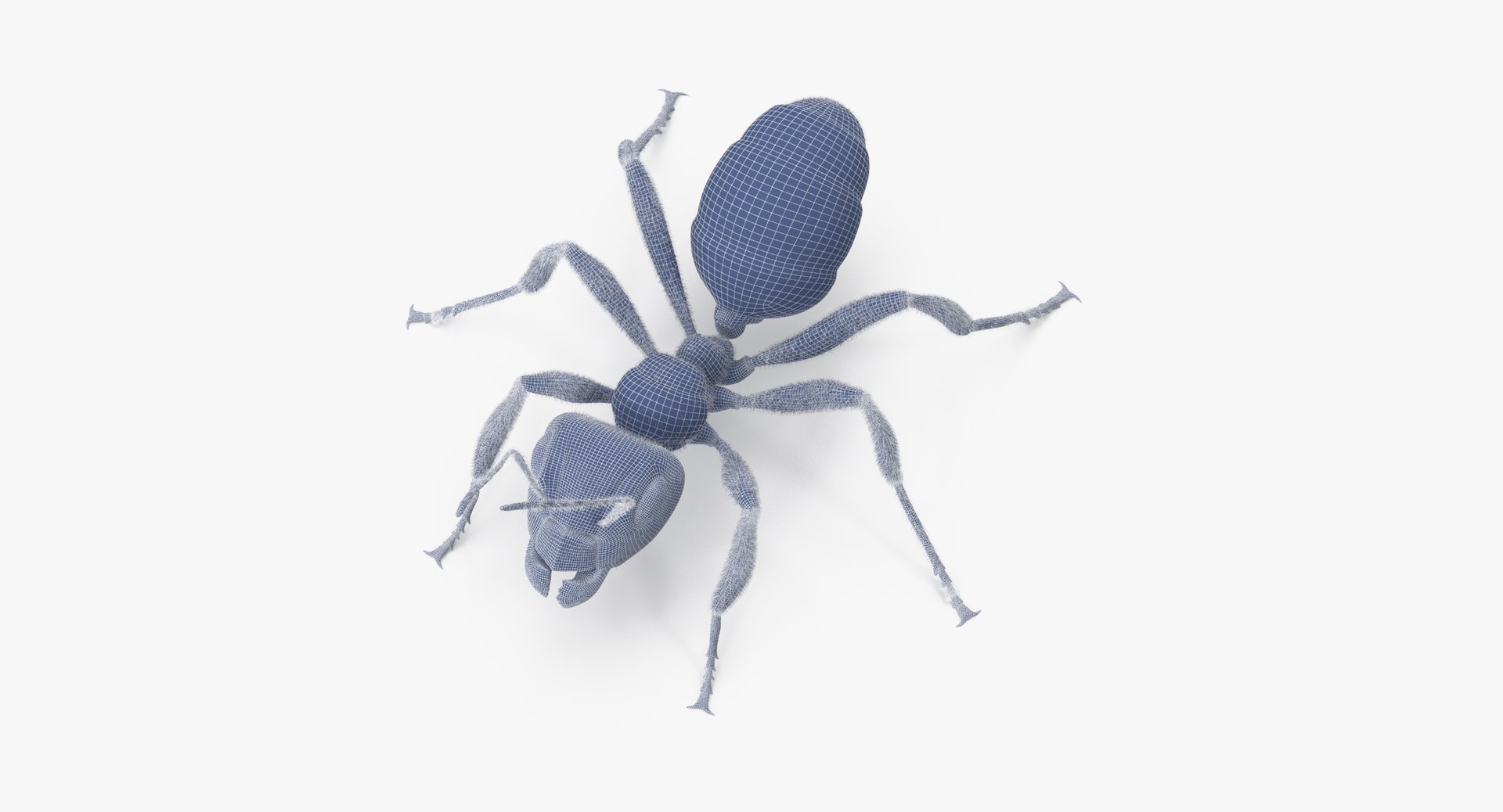 3d rigged ant - model https://p.turbosquid.com/ts-thumb/d0/QJ7nG1/NxkI75lf/ant_rigged_001_wireframe_0010/jpg/1459891562/1920x1080/fit_q87/f40366a281427c909ee8cb341dd9b3cd2ac35226/ant_rigged_001_wireframe_0010.jpg