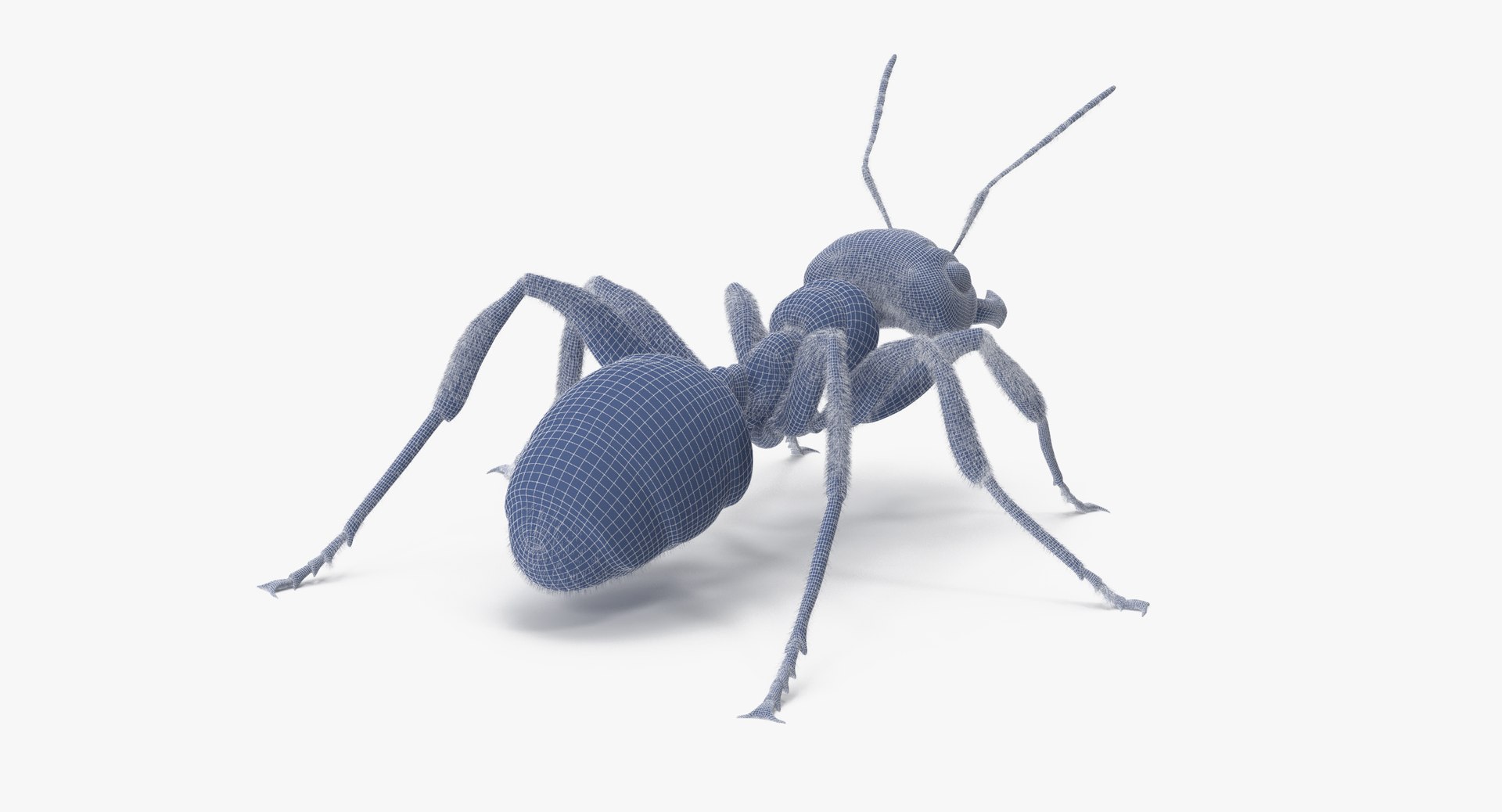 3d rigged ant - model https://p.turbosquid.com/ts-thumb/d0/QJ7nG1/PBdyph1r/ant_rigged_001_wireframe_0004/jpg/1459891562/1920x1080/fit_q87/3bd2c6433493faf01853971f02b860ea132434f4/ant_rigged_001_wireframe_0004.jpg