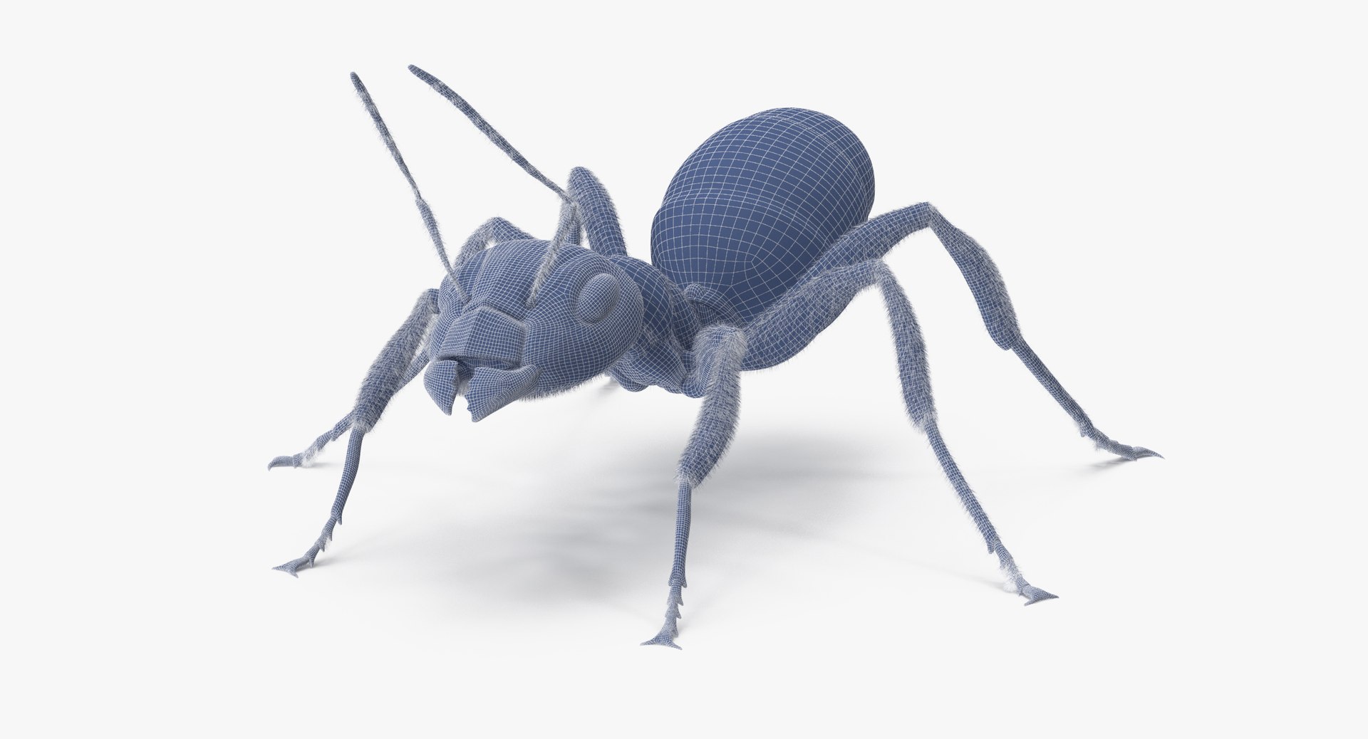3d rigged ant - model https://p.turbosquid.com/ts-thumb/d0/QJ7nG1/eLrKb8R7/ant_rigged_001_wireframe_0009/jpg/1459891562/1920x1080/fit_q87/e0ef053f137fea70d4e811da427b0b88f2e68202/ant_rigged_001_wireframe_0009.jpg