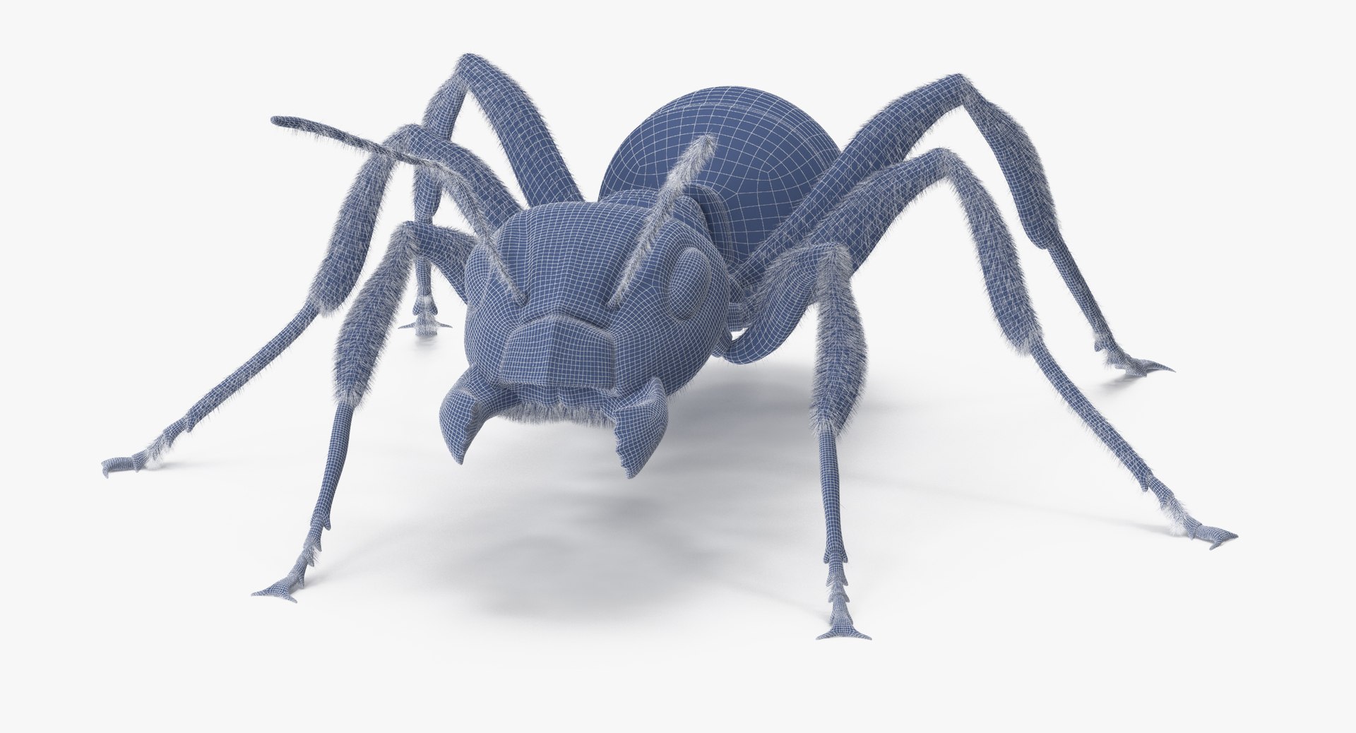 3d rigged ant - model https://p.turbosquid.com/ts-thumb/d0/QJ7nG1/hMBrNZbK/ant_rigged_001_wireframe_0002/jpg/1459891562/1920x1080/fit_q87/1c04ac09839cf052643bd373a2003d309ff250b5/ant_rigged_001_wireframe_0002.jpg