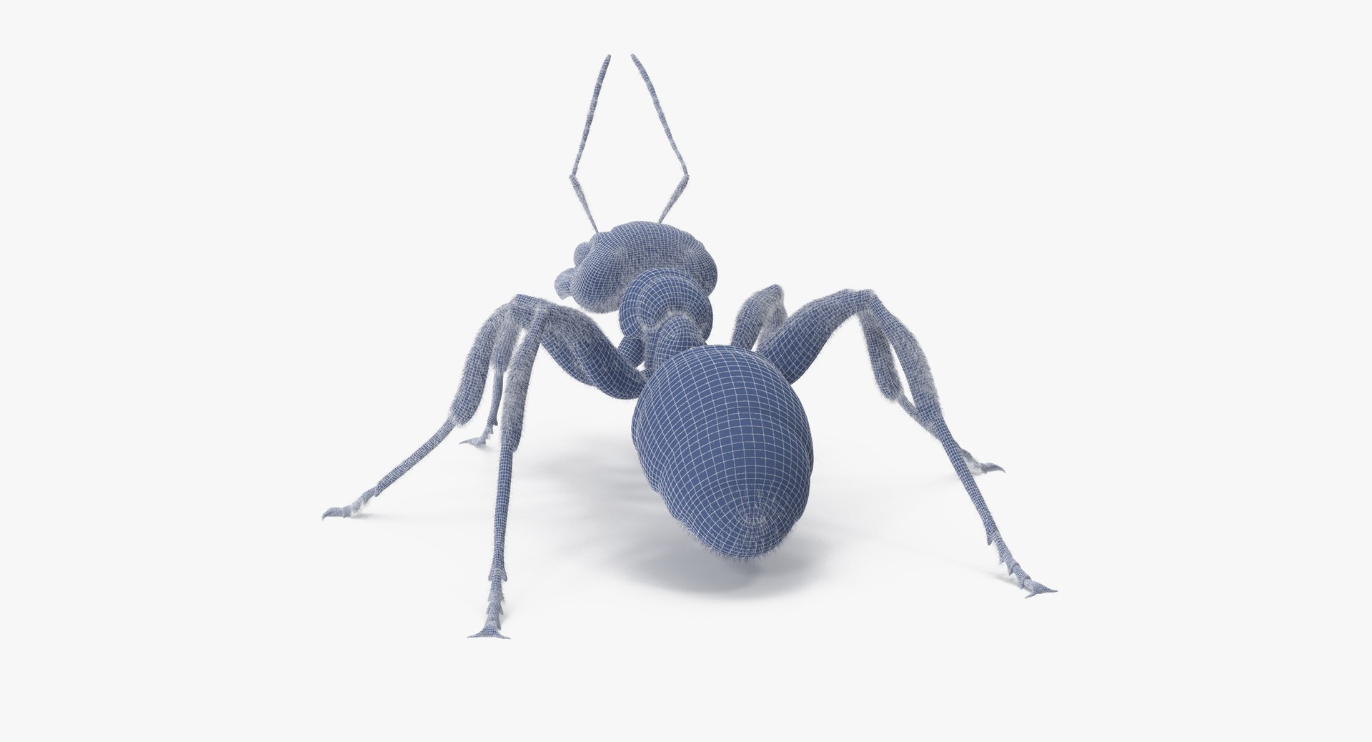 3d rigged ant - model https://p.turbosquid.com/ts-thumb/d0/QJ7nG1/x8eSzpSh/ant_rigged_001_wireframe_0006/jpg/1459891562/1920x1080/fit_q87/2b0ee697466d31b5e54653c87904dc887647c981/ant_rigged_001_wireframe_0006.jpg