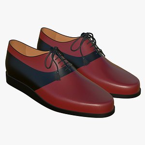 Leather Lace Up Shoes V4