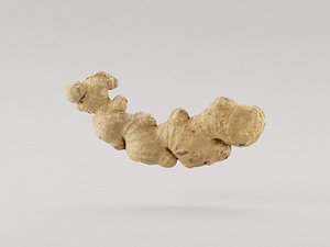 Ginger 3d model