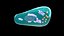 Endocrine cells