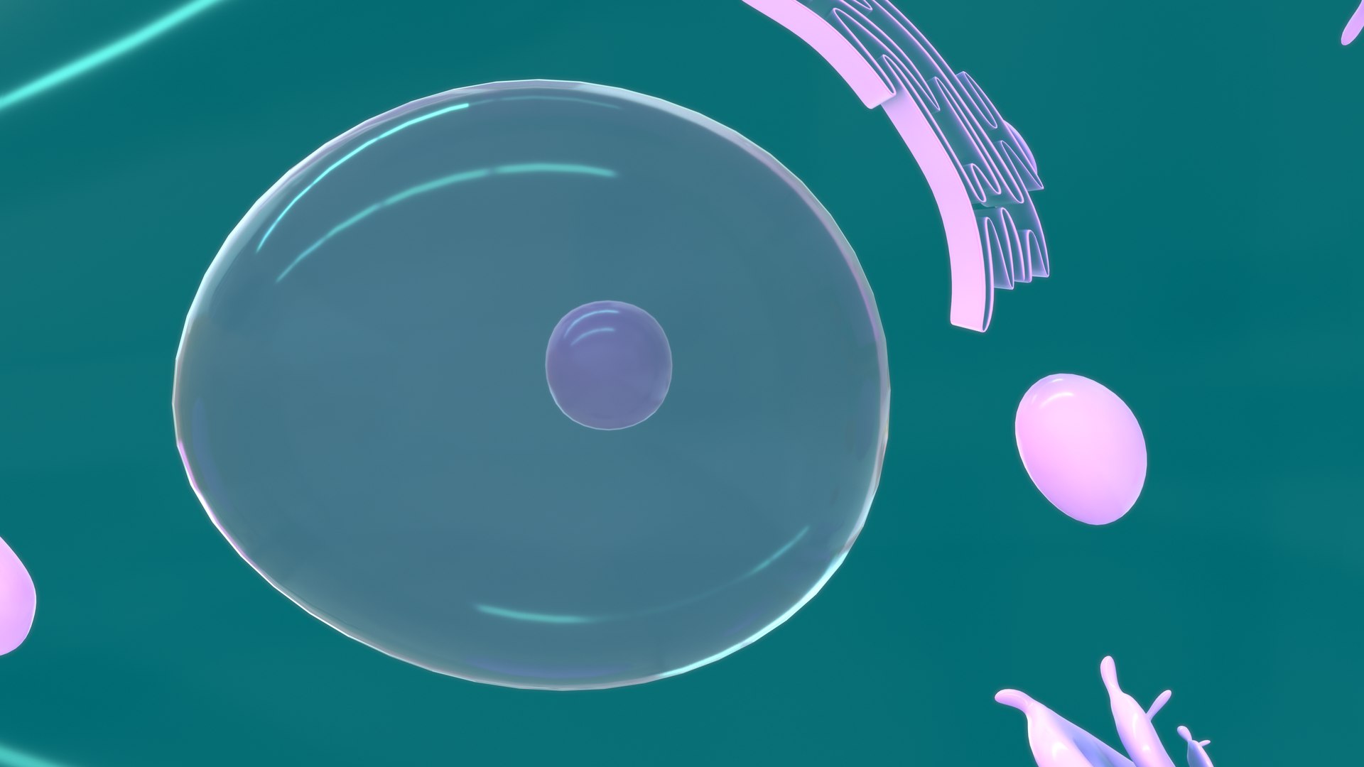 3D Endocrine cells model https://p.turbosquid.com/ts-thumb/d0/ZVbSoC/P1/z0076_endocrine_cell_0005/jpg/1707545335/1920x1080/fit_q87/e25bf6cb3021ec32e4f79279fcf45d115ea9782a/z0076_endocrine_cell_0005.jpg