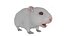 Hamster nain à fourrure blanche conçu pour Maya