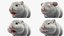 Hamster nain à fourrure blanche conçu pour Maya