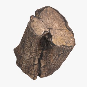 3D Wood log 1 model