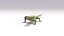 3D sand lizard lacerta agilis model