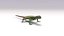 3D sand lizard lacerta agilis model