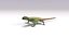 3D sand lizard lacerta agilis model