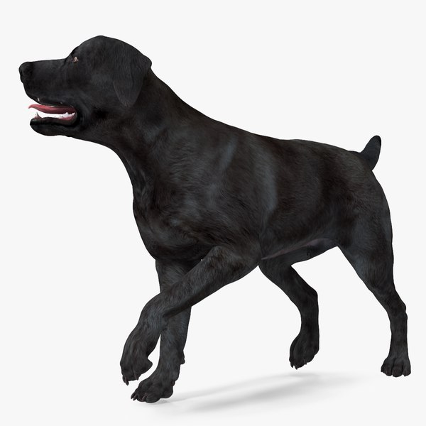 Breed: Launching Your Own Associates Program