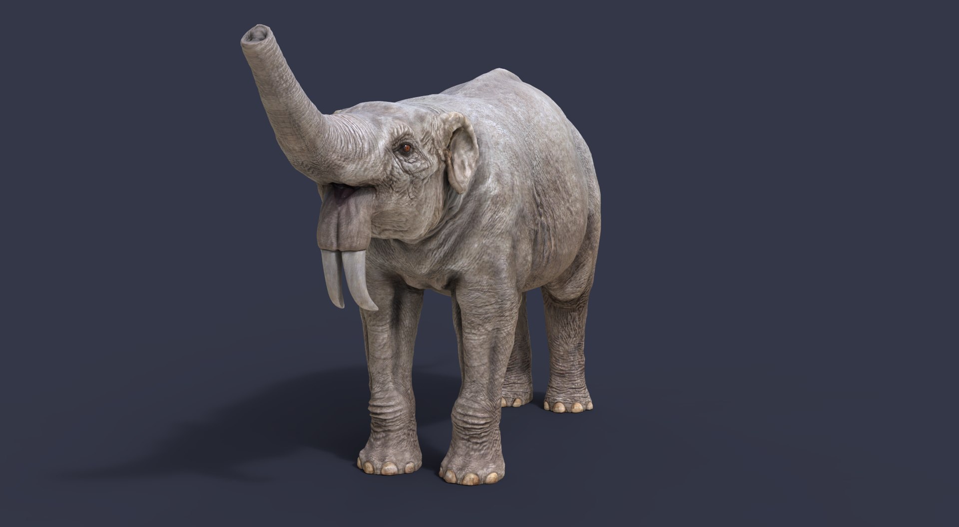 3D extinct animals version 11 https://p.turbosquid.com/ts-thumb/d1/8cRHg3/0OswbpvR/b2/jpg/1602514850/1920x1080/fit_q87/54514ec8bf9c09d30728b0e3d8499a981af1d9d6/b2.jpg