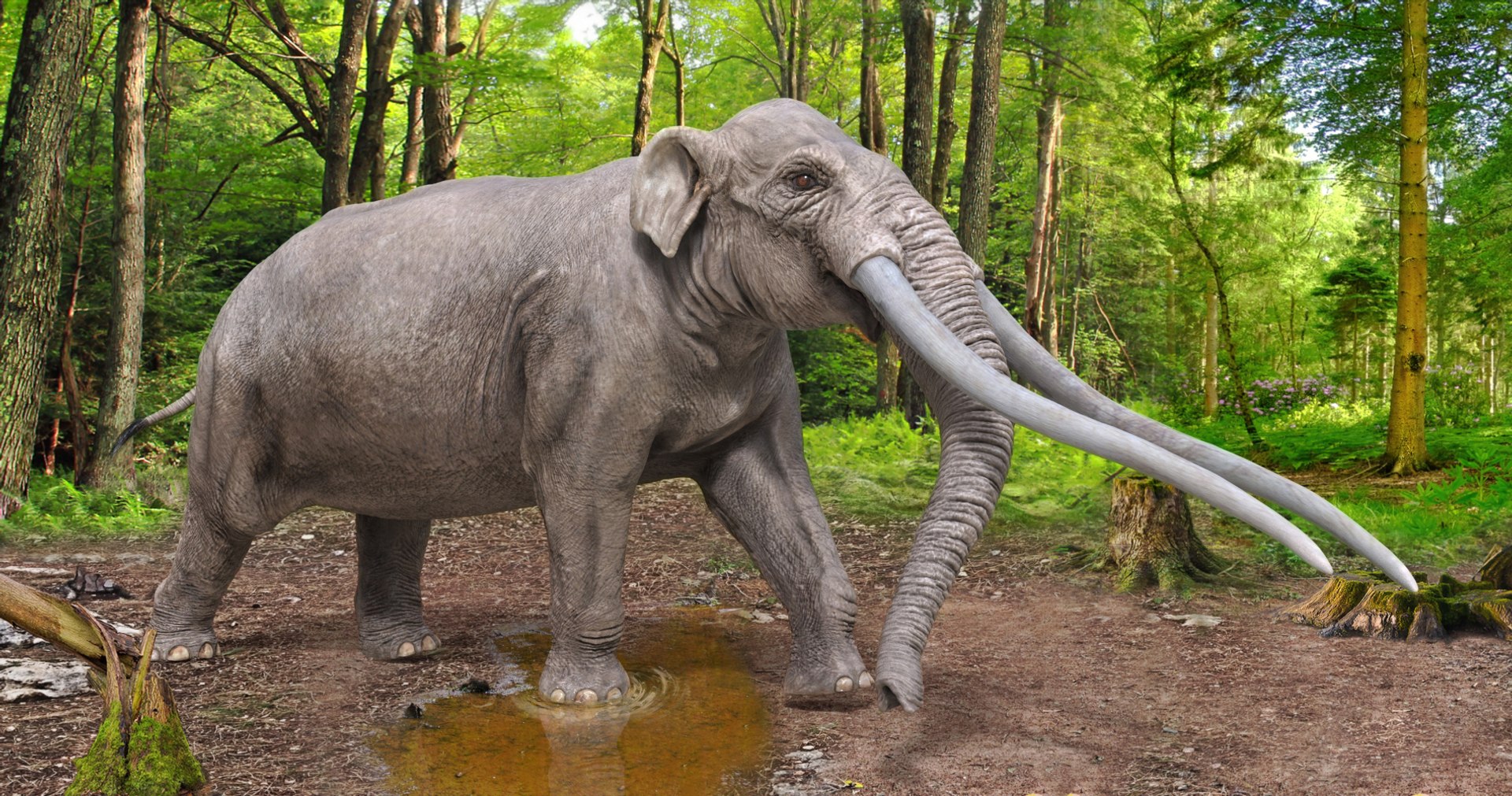 3D extinct animals version 11 https://p.turbosquid.com/ts-thumb/d1/8cRHg3/4SEAqba5/a15/jpg/1602517433/1920x1080/fit_q87/b08ab0626578ec1a9a0d4fc9f6c942d019c00250/a15.jpg