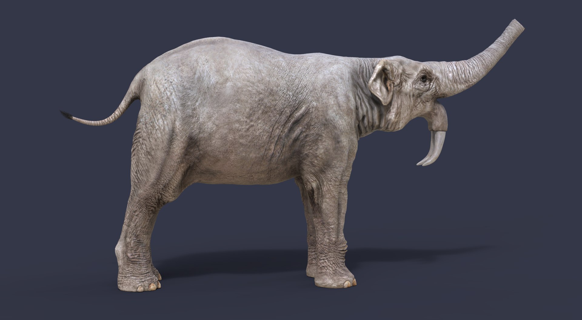 3D extinct animals version 11 https://p.turbosquid.com/ts-thumb/d1/8cRHg3/BiqBKhy7/b4/jpg/1602514899/1920x1080/fit_q87/b20e9051b5384f863a564b4a2fd8f4bab09a770d/b4.jpg
