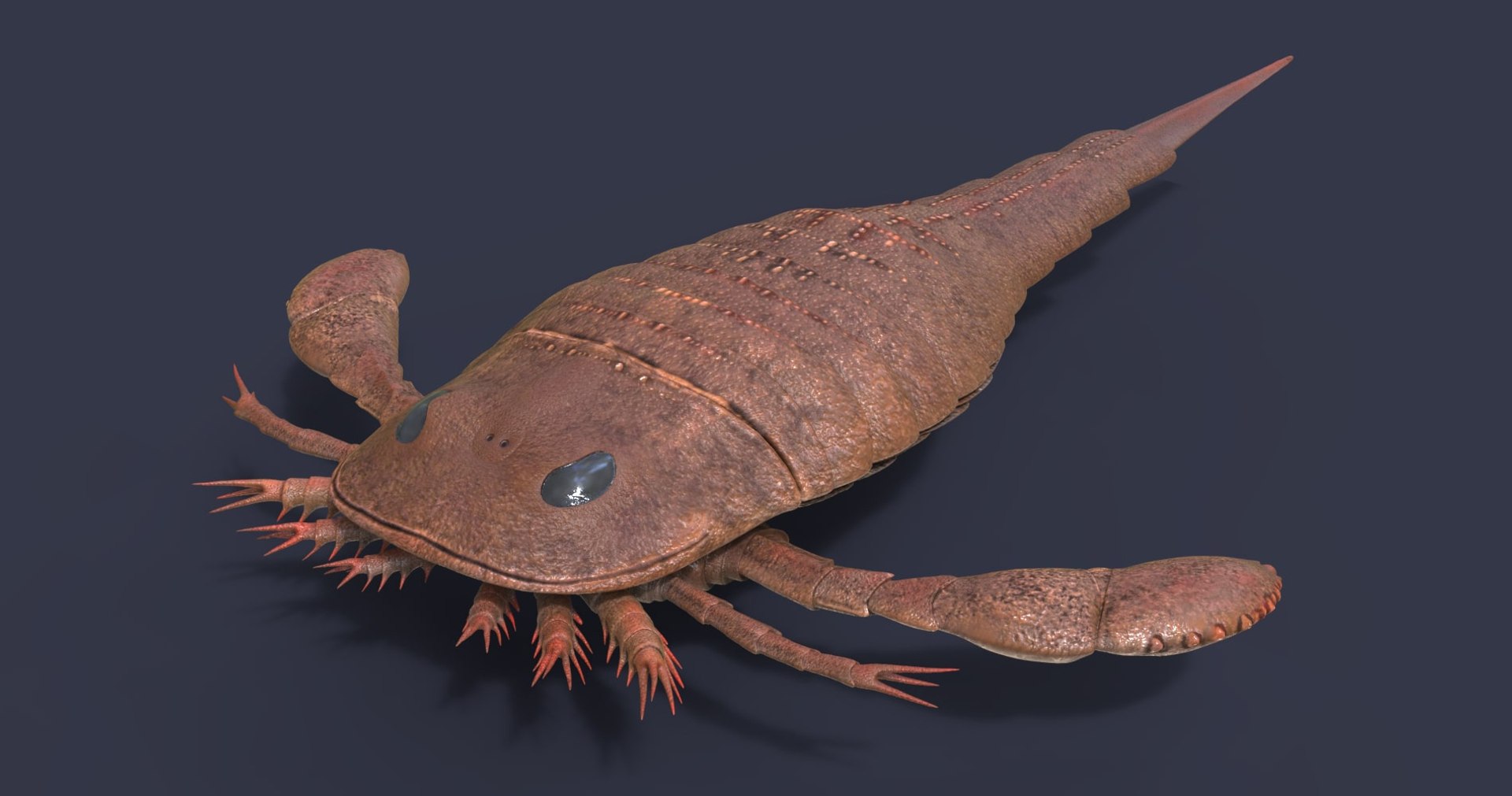 3D extinct animals version 11 https://p.turbosquid.com/ts-thumb/d1/8cRHg3/JuI5Oq4Y/a67/jpg/1602518096/1920x1080/fit_q87/eb78a170161521a605aeaf5c667ccd42e9abd81d/a67.jpg