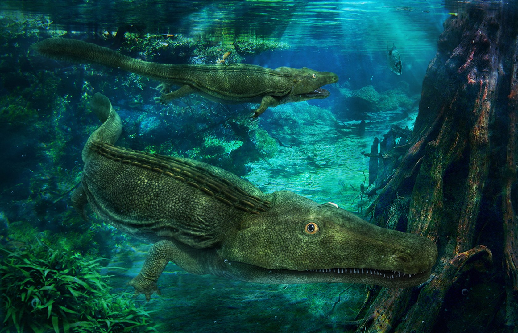 3D extinct animals version 11 https://p.turbosquid.com/ts-thumb/d1/8cRHg3/Oas3DweH/a48/jpg/1602517864/1920x1080/fit_q87/d230ccb08062788b9dae93ef778638bb925c6a13/a48.jpg