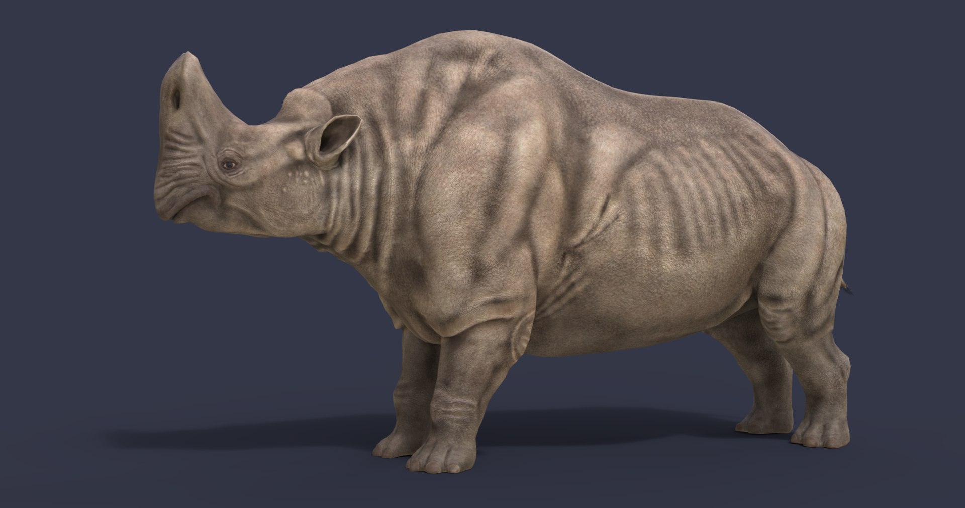 3D extinct animals version 11 https://p.turbosquid.com/ts-thumb/d1/8cRHg3/PUvxVlCX/1/png/1602515420/1920x1080/fit_q87/6ebfd406d8256c4d5227beeabb5bb73faf30df1a/1.jpg