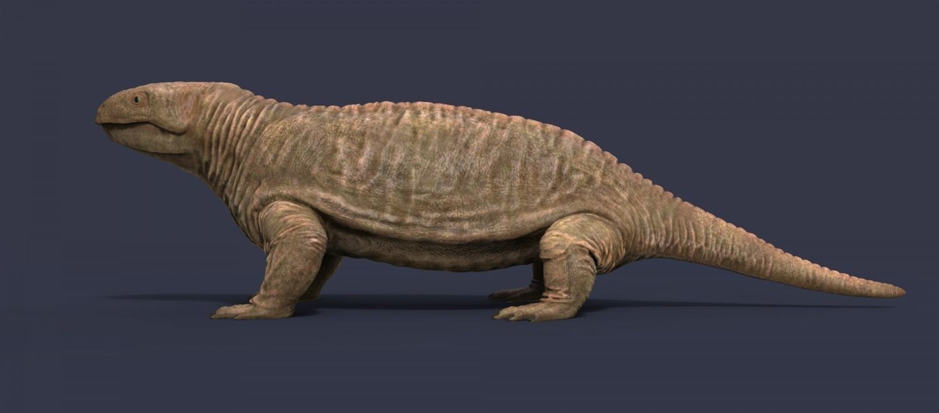 3D extinct animals version 11 https://p.turbosquid.com/ts-thumb/d1/8cRHg3/QRw8qEA9/a94/jpg/1602518574/1920x1080/fit_q87/18e20f7f83e060adc0a70a5ec4e48a1d6947f9d9/a94.jpg