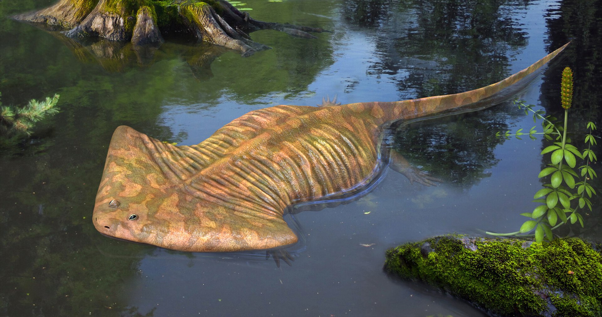 3D extinct animals version 11 https://p.turbosquid.com/ts-thumb/d1/8cRHg3/SPmBvFqr/a86/jpg/1602518450/1920x1080/fit_q87/23516f21724c30b3e3ee158d265bc0a1b955786f/a86.jpg