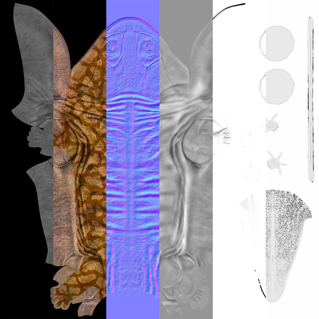 3D extinct animals version 11 https://p.turbosquid.com/ts-thumb/d1/8cRHg3/XhOtJwLx/a110/jpg/1602518821/1920x1080/fit_q87/e062ca5640ed1dd31148f319d84bda3c099840e0/a110.jpg