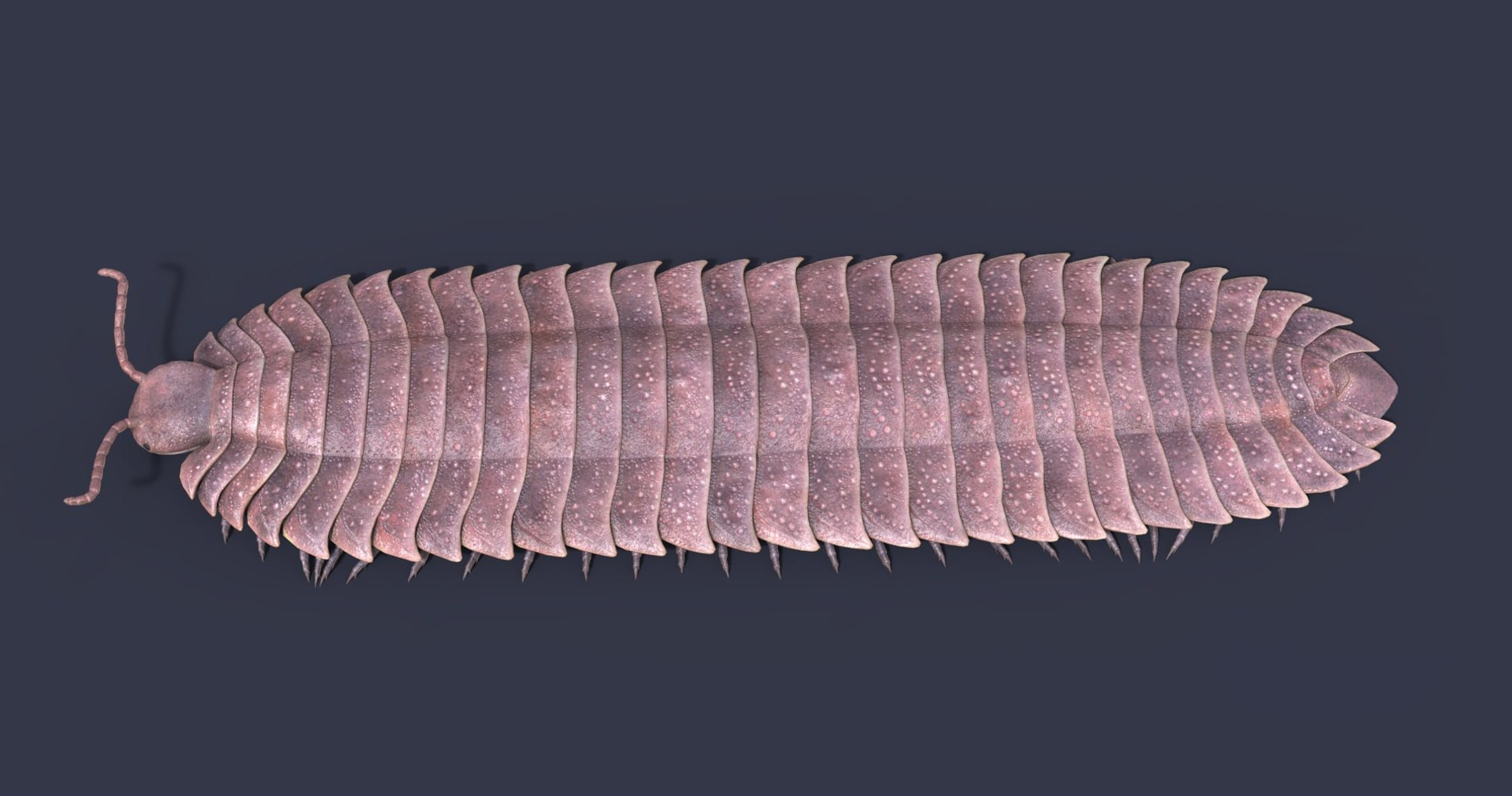 3D extinct animals version 11 https://p.turbosquid.com/ts-thumb/d1/8cRHg3/Xr5dZqXm/a87/jpg/1602518465/1920x1080/fit_q87/068b18e5aae24921c96676c19291f1e11e0d8151/a87.jpg