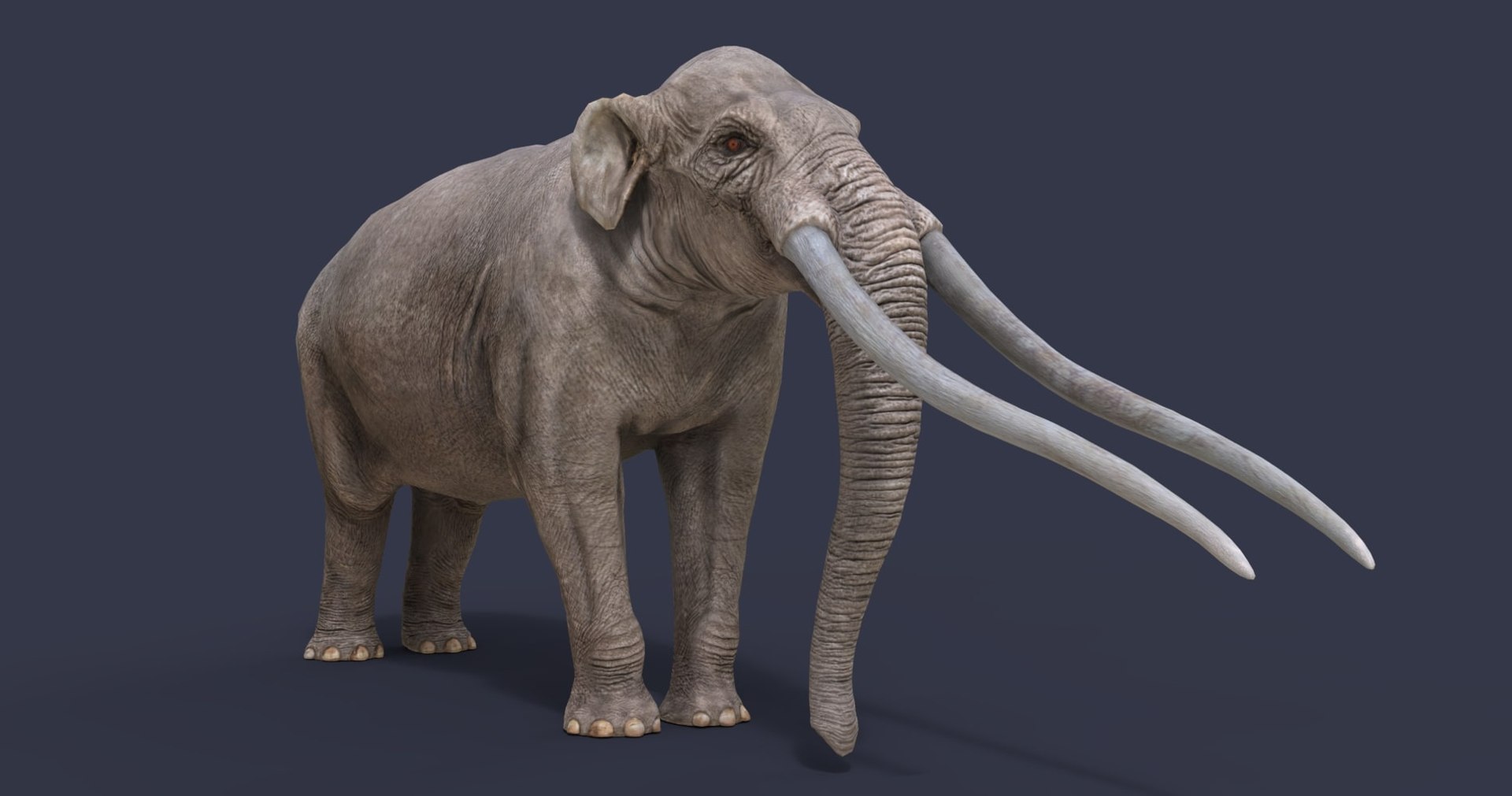 3D extinct animals version 11 https://p.turbosquid.com/ts-thumb/d1/8cRHg3/aBwbxd1q/a13/jpg/1602517413/1920x1080/fit_q87/d1a8183d94c519c457c6affca2b396fdc2930952/a13.jpg