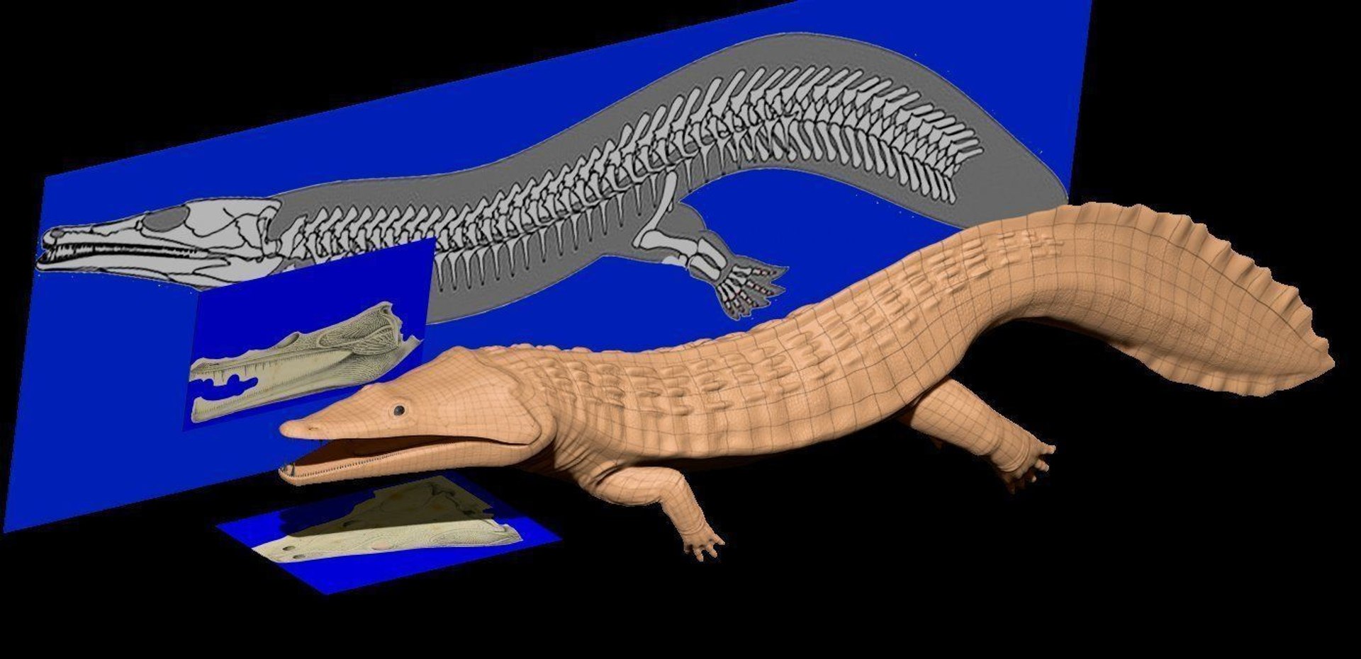 3D extinct animals version 11 https://p.turbosquid.com/ts-thumb/d1/8cRHg3/drtHaSai/a113/jpg/1602518879/1920x1080/fit_q87/190607f471c43a84d00b3664f97e224ec50832df/a113.jpg