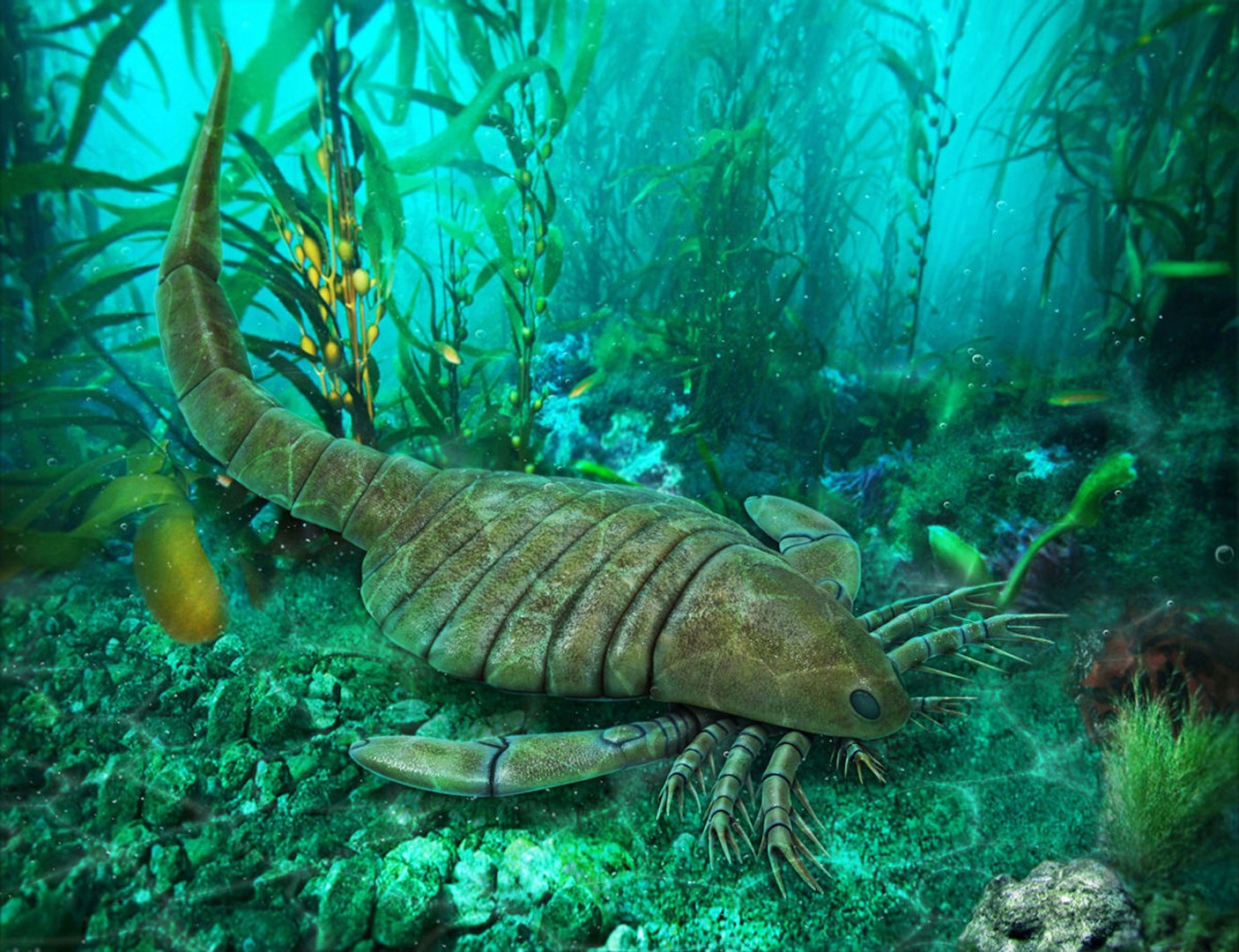 3D extinct animals version 11 https://p.turbosquid.com/ts-thumb/d1/8cRHg3/ic5XJxb6/a43/jpg/1602517818/1920x1080/fit_q87/878df01c4184ffba55fb2e3919a13e709d3a54a5/a43.jpg