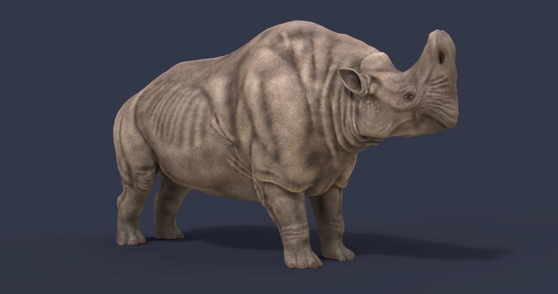 3D extinct animals version 11 https://p.turbosquid.com/ts-thumb/d1/8cRHg3/lHck3H8N/2/png/1602515440/1920x1080/fit_q87/9117f25669aa293589b92f712fe65e224ea3a3a9/2.jpg