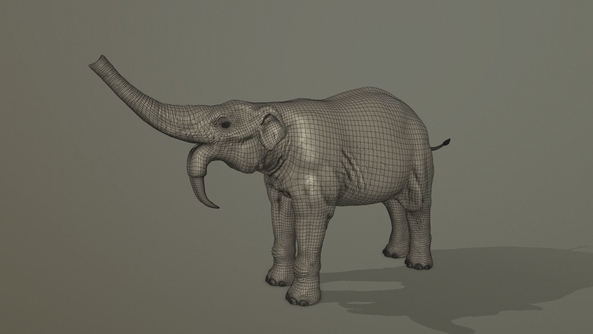 3D extinct animals version 11 https://p.turbosquid.com/ts-thumb/d1/8cRHg3/ms4ufgyD/b6/jpg/1602514958/1920x1080/fit_q87/73965c9567337fca68cfdc347c4cb0cf64d63d0b/b6.jpg