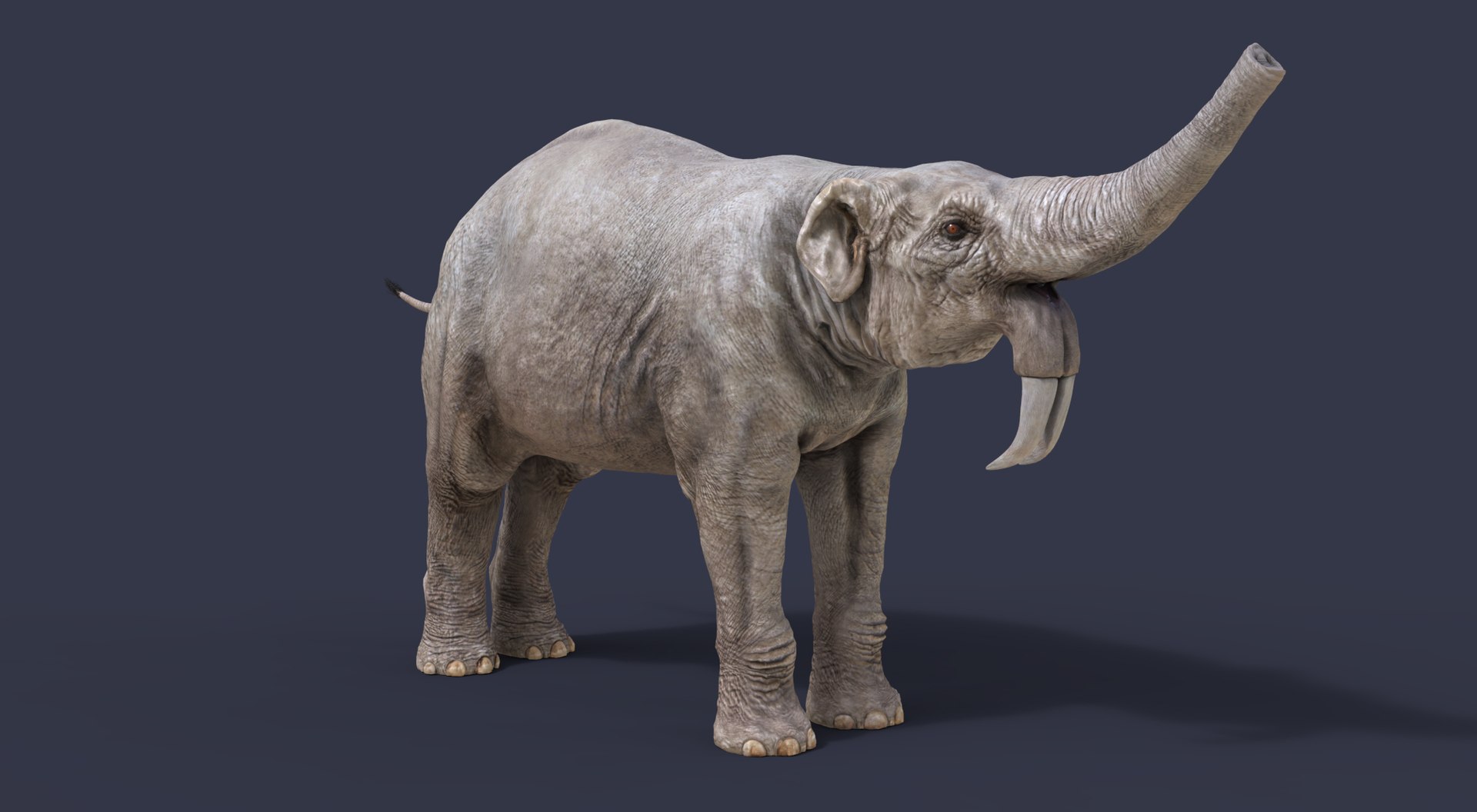 3D extinct animals version 11 https://p.turbosquid.com/ts-thumb/d1/8cRHg3/ofS0z8oM/b3/jpg/1602514879/1920x1080/fit_q87/ba52ce9afa9b7bbe90d252297082fc3d00fd26e1/b3.jpg