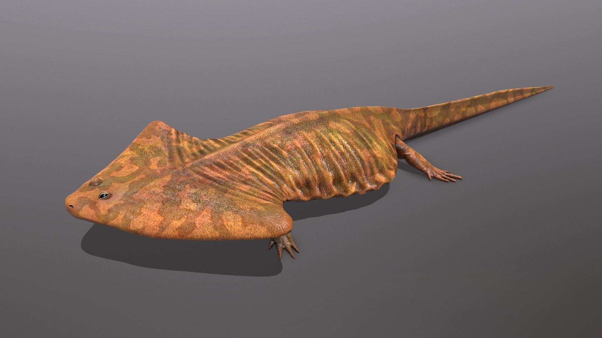 3D extinct animals version 11 https://p.turbosquid.com/ts-thumb/d1/8cRHg3/piBFPZIZ/a82/jpg/1602518355/1920x1080/fit_q87/796c77673f461b7d19cd8c9c8c6f4d907d7034b9/a82.jpg