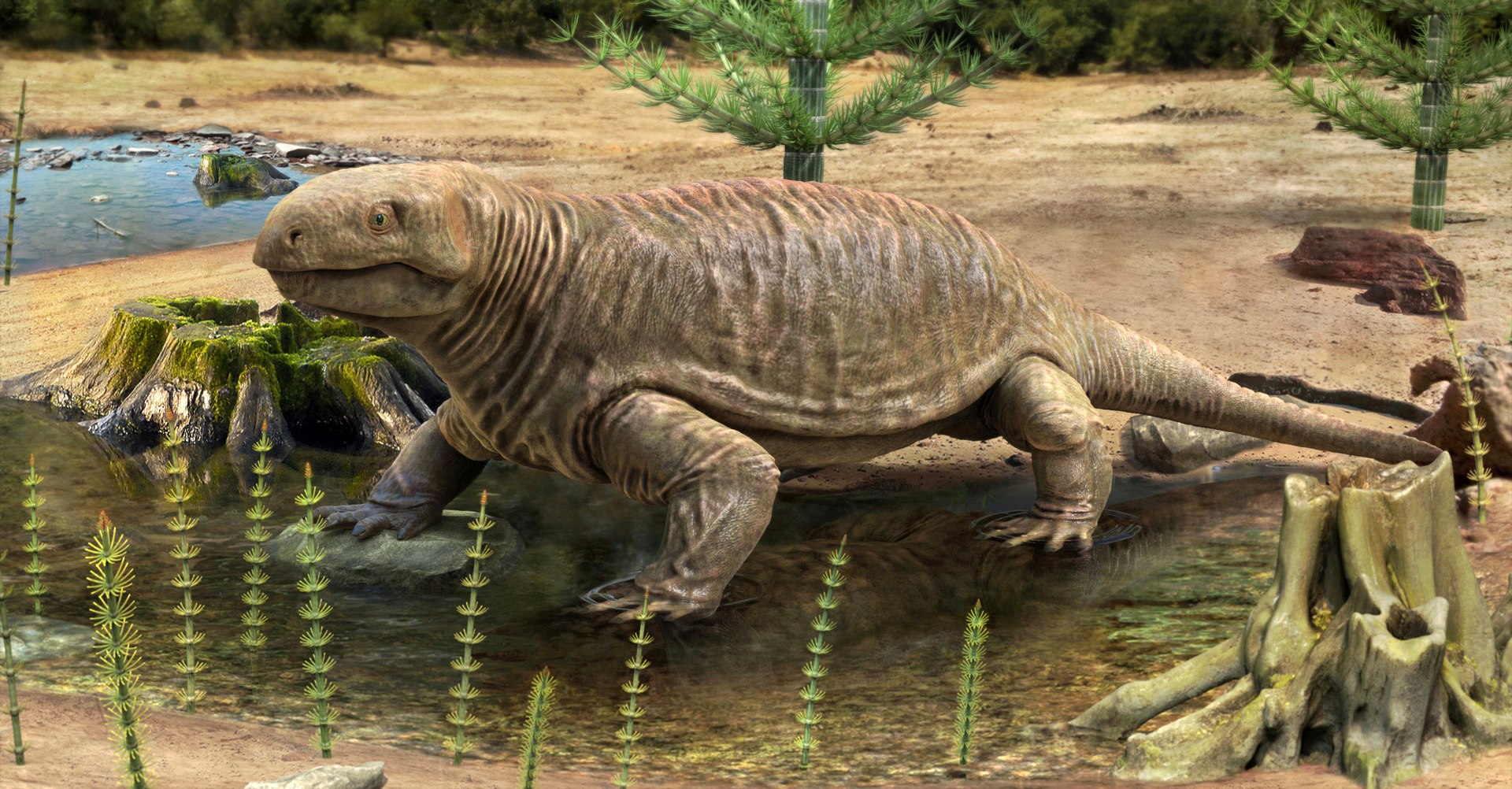 3D extinct animals version 11 https://p.turbosquid.com/ts-thumb/d1/8cRHg3/qyoajydC/a99/jpg/1602518645/1920x1080/fit_q87/70ea629f9c780edfe11de28429eca535fc7cdc40/a99.jpg