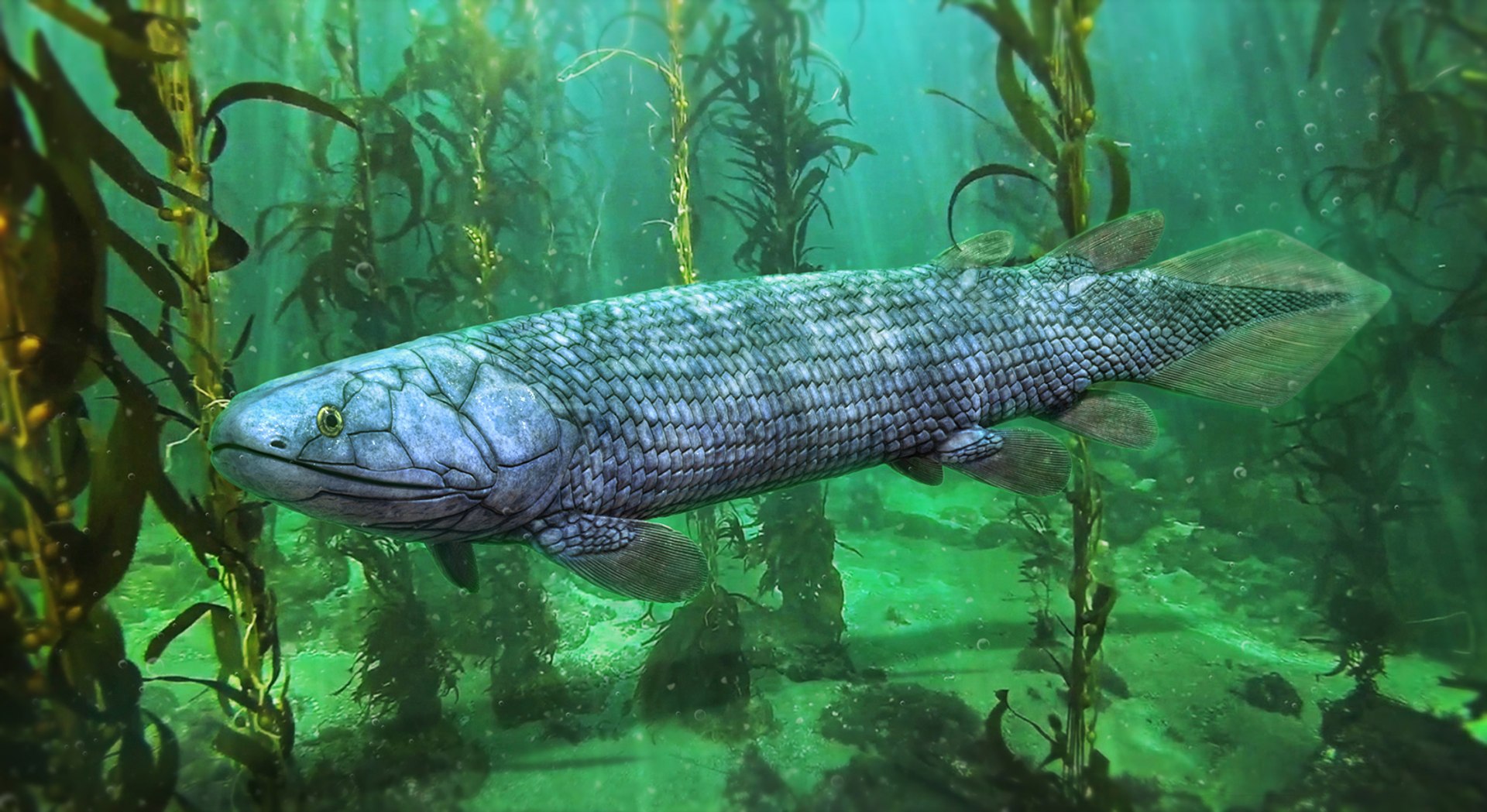 3D extinct animals version 11 https://p.turbosquid.com/ts-thumb/d1/8cRHg3/vzngv9oT/a39/jpg/1602517778/1920x1080/fit_q87/4ca74d393e68e0943d047d4f98905301487f3eb4/a39.jpg