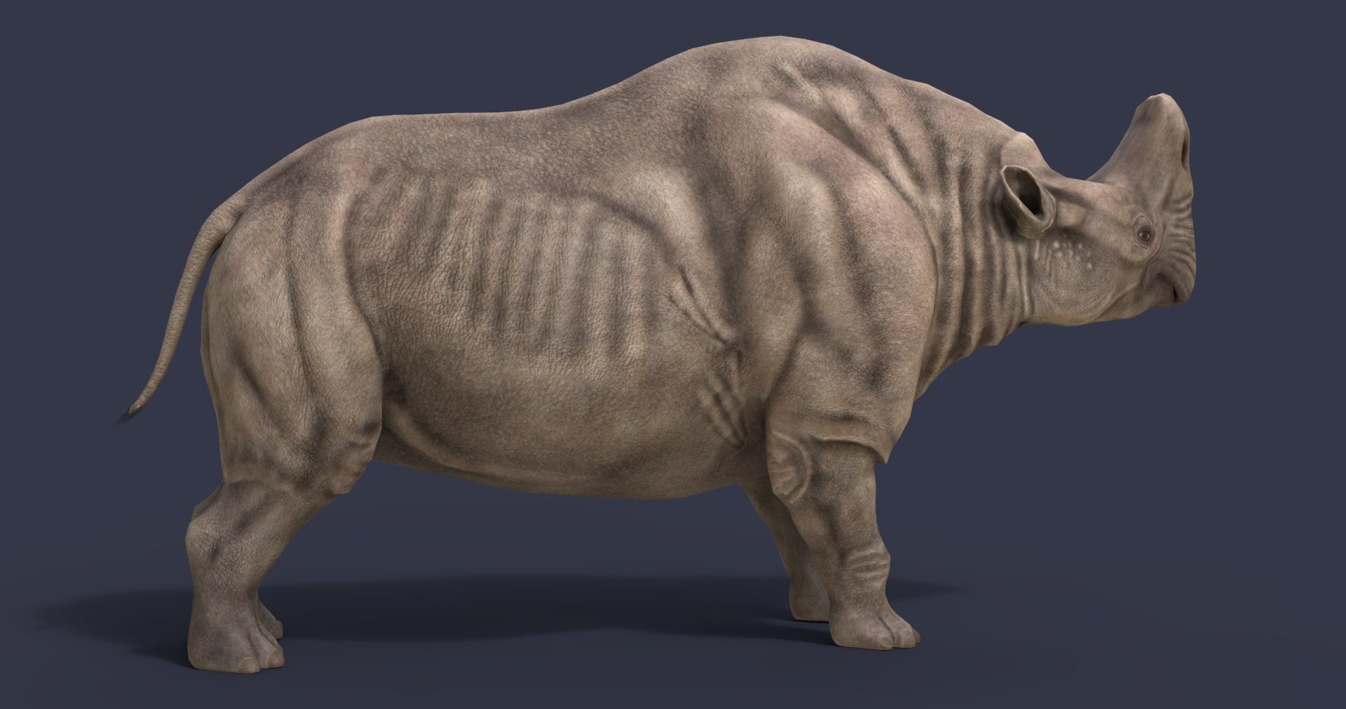 3D extinct animals version 11 https://p.turbosquid.com/ts-thumb/d1/8cRHg3/yxCj2cJp/4/png/1602515460/1920x1080/fit_q87/f04d8d2075ebcdcb7f091145703fd41c59183dbf/4.jpg