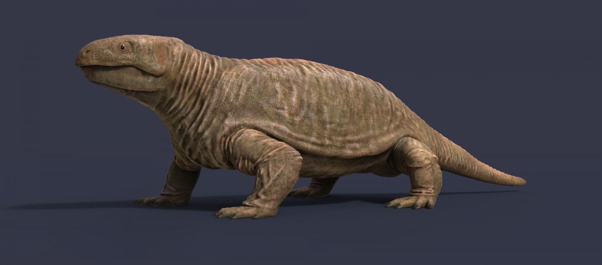 3D extinct animals version 11 https://p.turbosquid.com/ts-thumb/d1/8cRHg3/zVv19oNO/a92/jpg/1602518552/1920x1080/fit_q87/b19395fd9c295c6c4bf530897100c67dc6f35dc0/a92.jpg