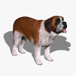 Saint Bernard (FUR)