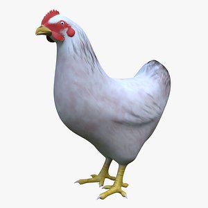 3d chicken