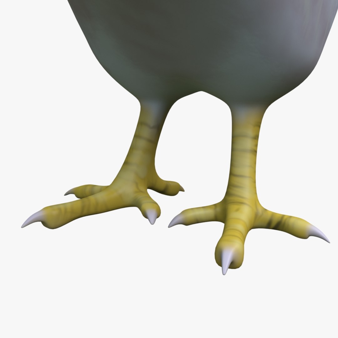 3d chicken