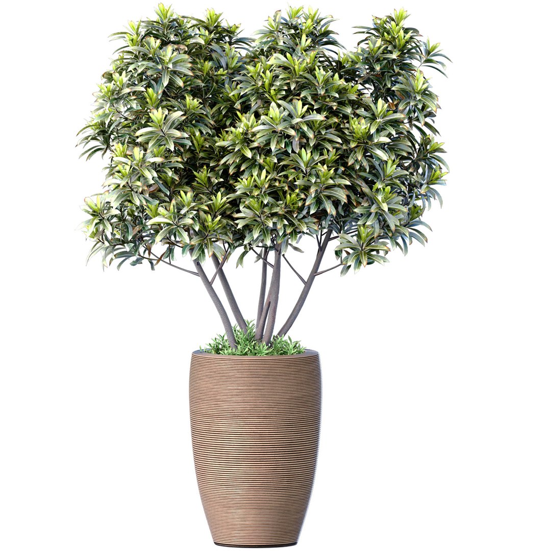 Decorative Tree Bush Shrub In A Modern High Fluted Vase Pot Vase Urn ...